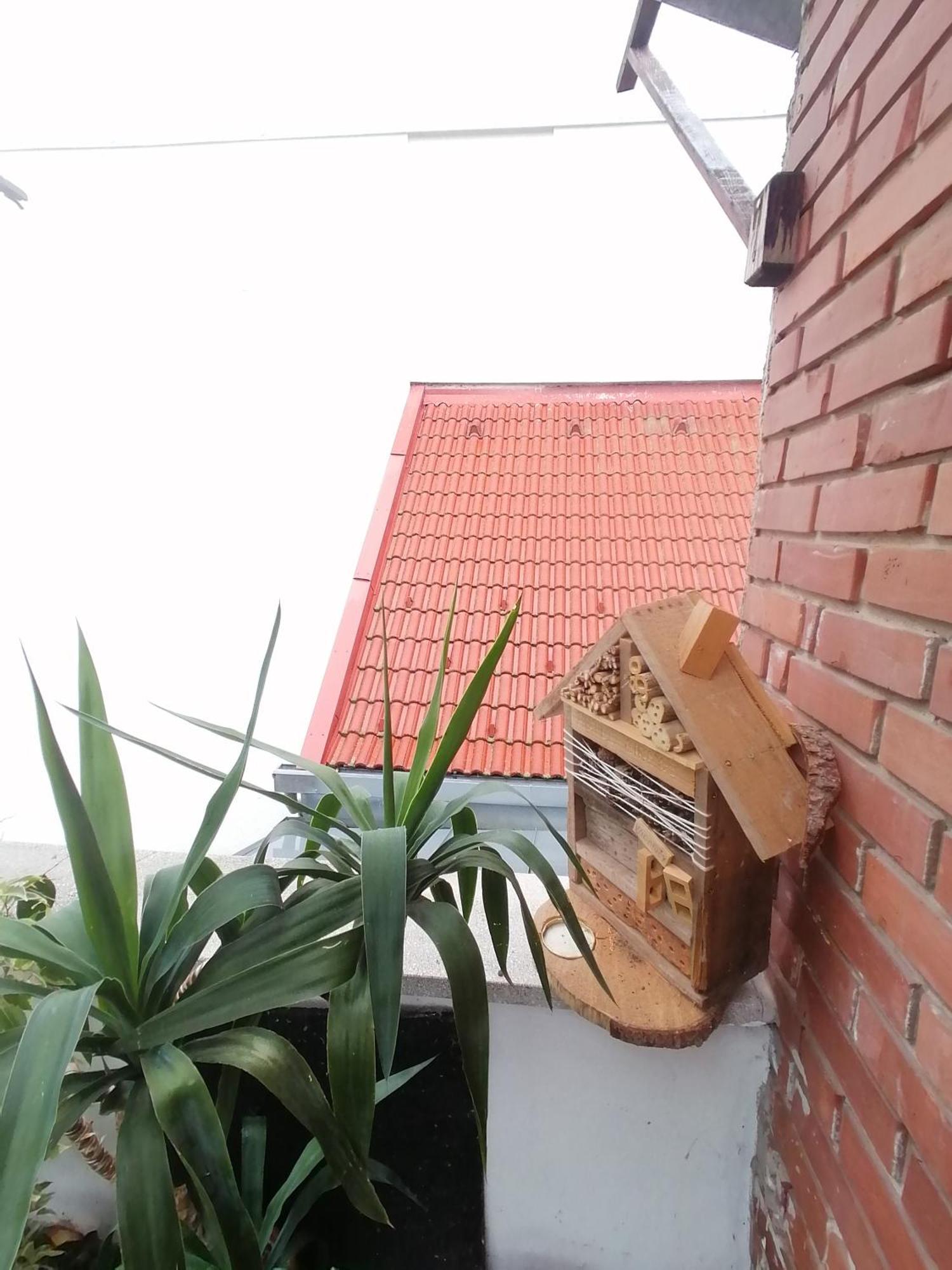 Ujkapu Sunshine Apartments Gyor Room photo
